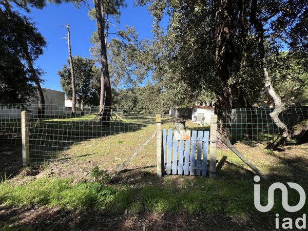 Terrain à vendre 557 m² Saint-Georges-d'Oléron