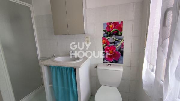 Appartement T2 climatisé, avec balcon, secteur Palissy