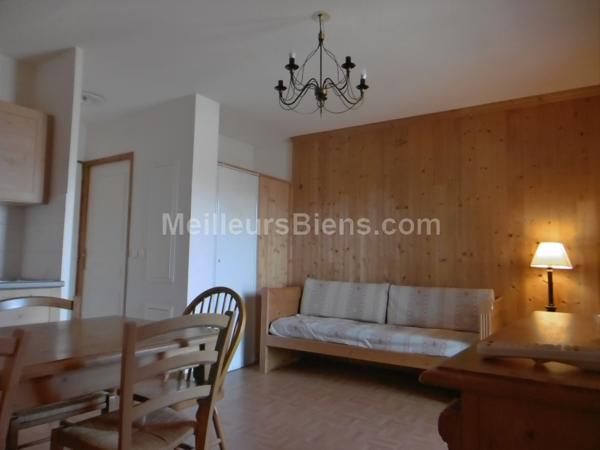 T2 29 m2 La Toussuire vue dégagée