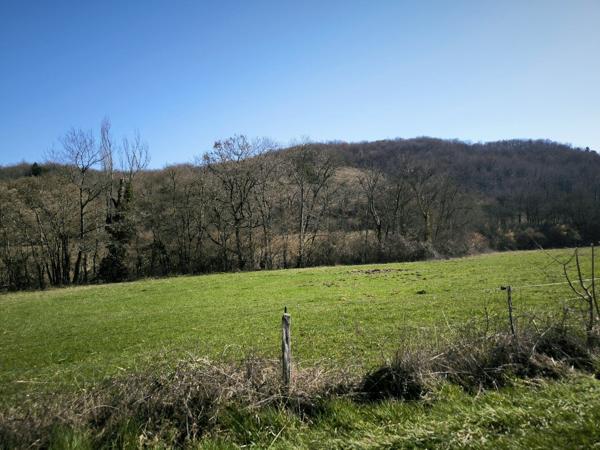 Mirepoix 10 ' . calme 39 ha , maison bio climatique . Mirepoix