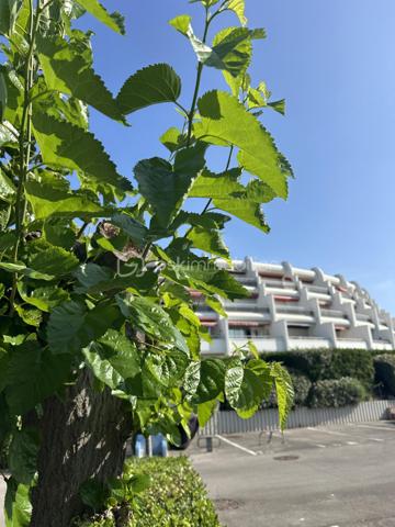 Appartement de 18 m²