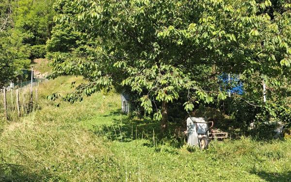 Maison à vendre    4 pièces •  Mazamet