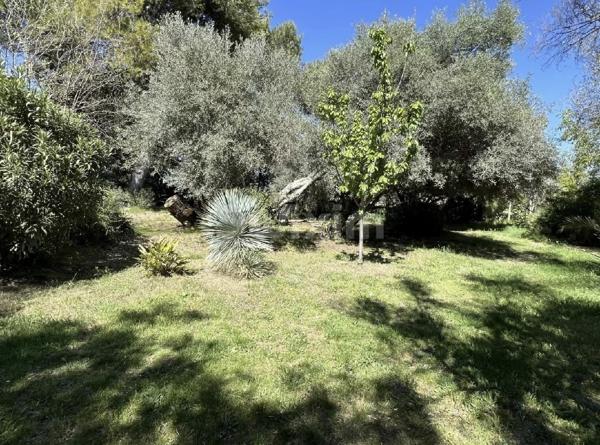 maison architecte piscine jardin