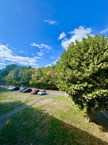 Nathalie CORDIER vous présente cet appartement traversant d’environ 86 m², situé au cœur du quartier Neuland face à la forêt.

🌿 De beaux volumes, quatre chambres et un environnement verdoyant : un appartement à personnaliser selon vos envies !
Situé au 1er étage d’une résidence, cet appartement d’environ 86 m² offre un beau potentiel et de nombreuses possibilités d’aménagement.

Il se compose d’un séjour, d’une cuisine, de quatre chambres, d’une salle de bains, d’un WC ainsi que d’un grand dégagement.
Une cave privative vient compléter ce bien, offrant un espace de rangement supplémentaire appréciable.

✨ Des travaux de rafraîchissement sont à prévoir dans l’ensemble de l’appartement, vous permettant de repenser les espaces et la décoration afin de créer un intérieur à votre image.

Côté confort :
- Fenêtres en double vitrage
- Chauffage et production d’eau chaude au gaz

🌳 Un emplacement particulièrement agréable !
Situé face à la forêt et à proximité du lac, cet appartement bénéficie d’un environnement verdoyant, tout en restant proche de toutes les commodités.
🏫 Écoles maternelle et élémentaire du Neuland à deux pas.
🌿 Forêt et lac à proximité, parfaits pour les promenades et les moments de détente.
🚗 Nombreuses possibilités de stationnement aux alentours.

📍 Une situation géographique intéressante :
🇩🇪 Allemagne à proximité immédiate
🚗 Metz à environ 35 minutes
🇱🇺 Luxembourg à environ 1h 

❤️ Avec ses quatre chambres, ses beaux volumes et son potentiel d’aménagement, cet appartement représente une belle opportunité pour ceux qui souhaitent créer un intérieur à leur image.
📞 N’hésitez pas à me contacter pour tout renseignement complémentaire ou pour organiser une visite.









    

Cette conversation vous a-t-elle été utile jusqu’ici ?