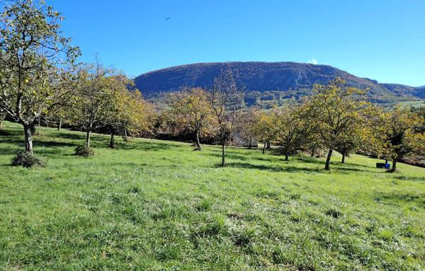 Terrain à Batir de 1 065 m²