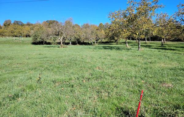 Terrain à Batir de 1 065 m²