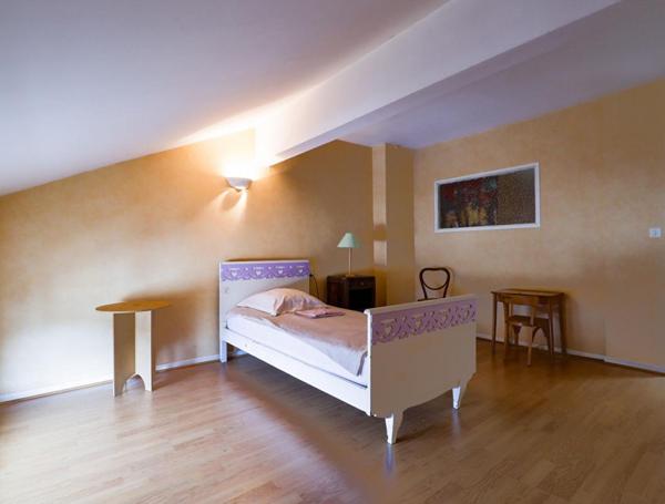 Maison de village rénovée avec jardin et fort potentiel locatif au coeur de Lacaune
