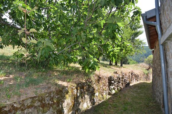 Vente / Corps de ferme
