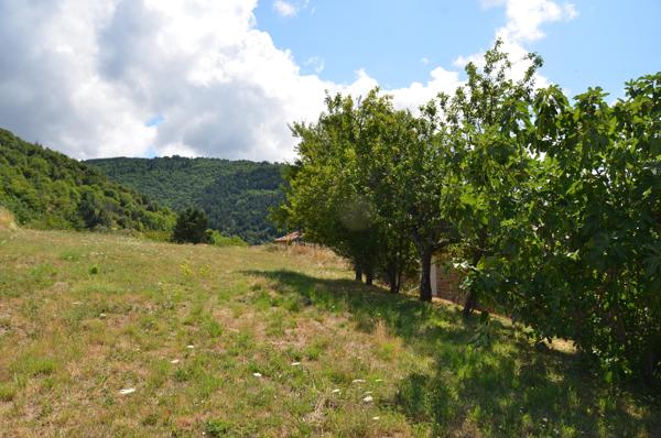 Vente / Corps de ferme