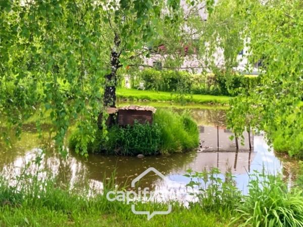 Dpt nièvre (58), MILLAY, Maison à vendre 9 pièces, 207m², 1.71 ha, piscine, dépendances, Morvan