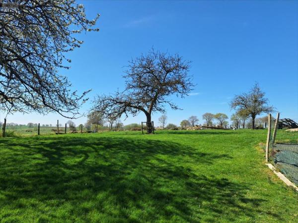 Maison à vendre à Ernée en Mayenne (53500), ref : 53077-1074733
