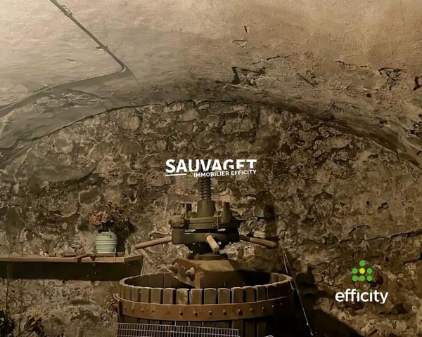 Maison 9 pièces - 383 m² Exclusivité efficity