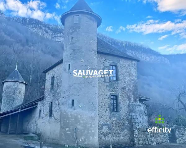 Maison 9 pièces - 383 m² Exclusivité efficity