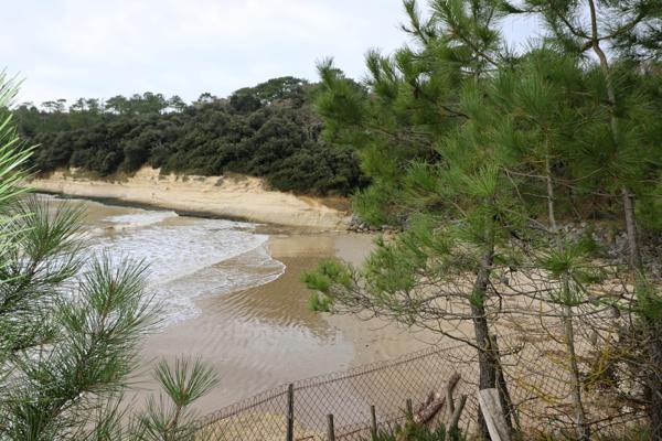 Maison Meschers proche plage. Meschers-sur-Gironde (17132)