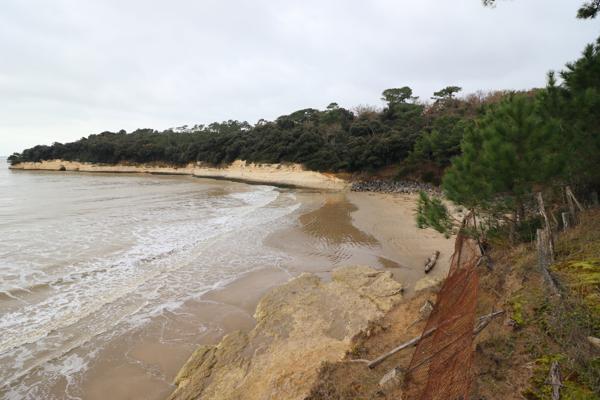 Maison Meschers proche plage. Meschers-sur-Gironde (17132)