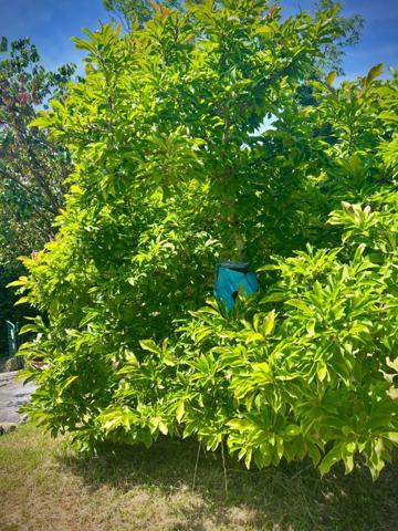 Pujols – Maison familiale avec appartement indépendant –