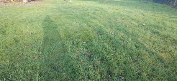 Terrain dans Issancourt-et-Rumel