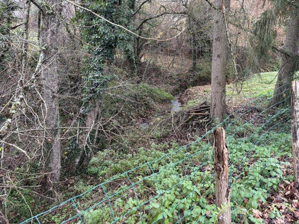 Le Breuil – Charmante propriété avec 2 espaces de vie et accès direct à la rivière Le Breuil (03120)