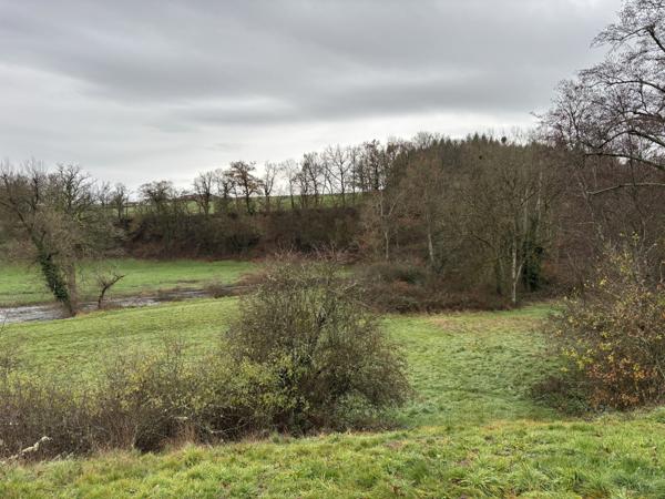 Le Breuil – Charmante propriété avec 2 espaces de vie et accès direct à la rivière Le Breuil (03120)
