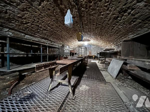 Ensemble immobilier à Nogent 52800 - 9 pièces - 6 chambres et 4000 m² de terrain