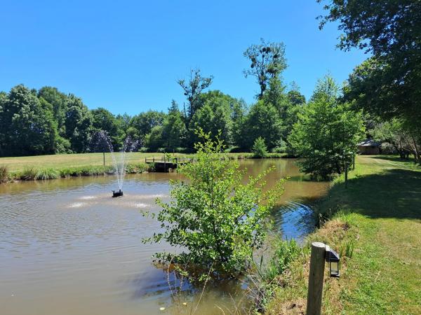 Moulin offrant une grande maison familiale avec potentiel pour gîte, camping ou restaurant