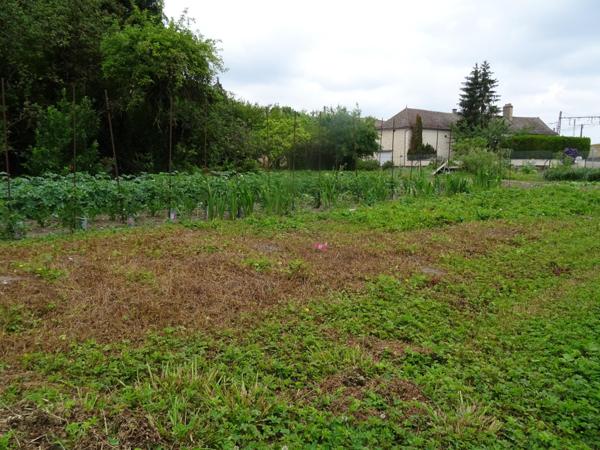 A Fontaines, terrain a  batir