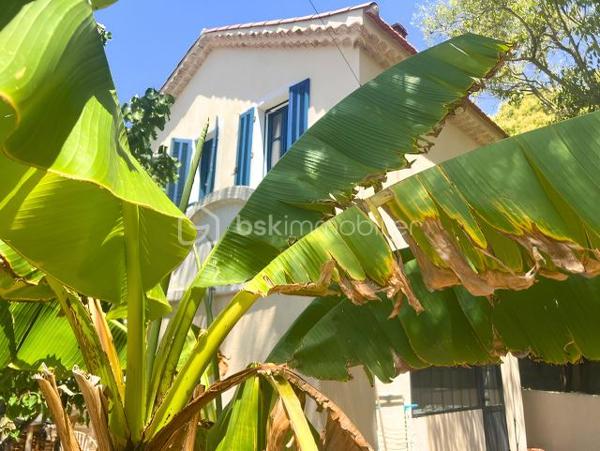 À seulement 2 minutes à pied des plages, découvrez un véritable havre de paix au cœur du très recherché quartier de Mar Vivo.

Cette charmante maison de style provençal d’environ 80 m² habitables, implantée sur un magnifique terrain plat et arboré de 860 m², offre un cadre de vie privilégié où calme, nature et proximité de la mer se rencontrent.

Dès l’entrée, une agréable terrasse vous accueille et invite à profiter pleinement des beaux jours.

Le rez-de-chaussée se compose d’une vaste pièce de vie d’environ 40 m² réunissant salon, cuisine et arrière-cuisine, agrémentée d’un chaleureux poêle à bois. Vous trouverez également un bureau, idéal pour le télétravail ou une chambre d’appoint, ainsi qu’une salle de bains avec WC.

À l’étage, deux belles chambres lumineuses offrent une vue dégagée sur le jardin. Un WC indépendant complète ce niveau. Un accès mène à des combles aménagés d’environ 24 m², offrant un espace supplémentaire idéal pour une salle de jeux ou un espace de rangement.

À l’extérieur, les prestations sont tout aussi séduisantes :

Garage de plus de 20 m²
Cuisine d’été ombragée, parfaite pour recevoir famille et amis
Terrain de pétanque
Terrain piscinable
Résiduel constructible représentant environ 25 % de l’emprise autorisée
Prise dédiée pour la recharge d’un véhicule électrique
Son emplacement est un véritable atout : à quelques minutes à pied des plages, des commerces, des écoles et de toutes les commodités, tout en bénéficiant d’un environnement résidentiel recherché.

Une maison pleine de charme et de potentiel, idéale en résidence principale comme en résidence secondaire.

Une visite suffira à vous convaincre !
Contactez-moi dès aujourd’hui pour découvrir ce bien rare sur le secteur de Mar Vivo.