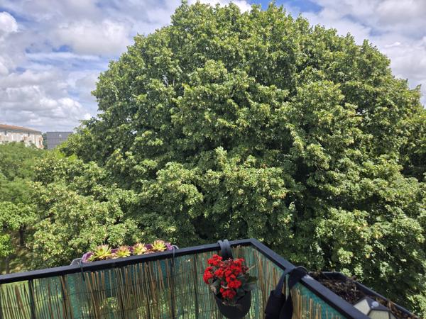 Appartement
                                                                                                                                                                                                                                                                                                                        4 pièce(s)                                                                                                                                                                                                          3 chambre(s)                                                                                                                                                                                                          67.91  m²