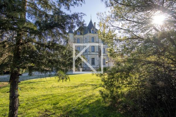 CHÂTEAU STYLE RENAISSANCE AVEC GÎTES ET DÉPENDANCES