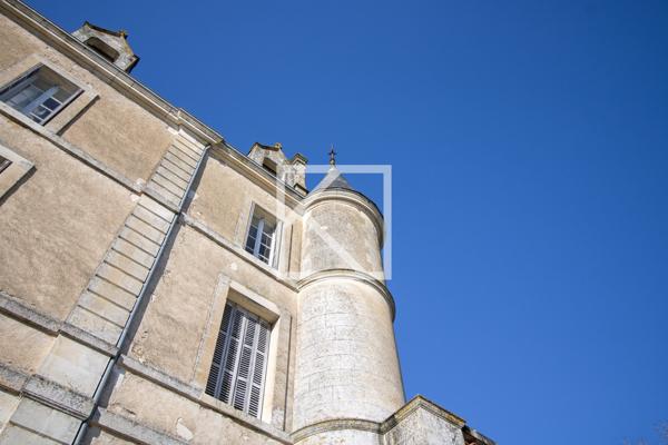 CHÂTEAU STYLE RENAISSANCE AVEC GÎTES ET DÉPENDANCES