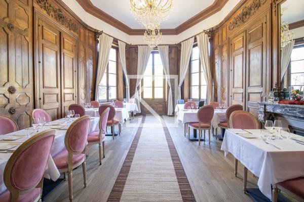 CHÂTEAU STYLE RENAISSANCE AVEC GÎTES ET DÉPENDANCES