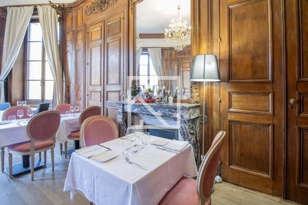 CHÂTEAU STYLE RENAISSANCE AVEC GÎTES ET DÉPENDANCES