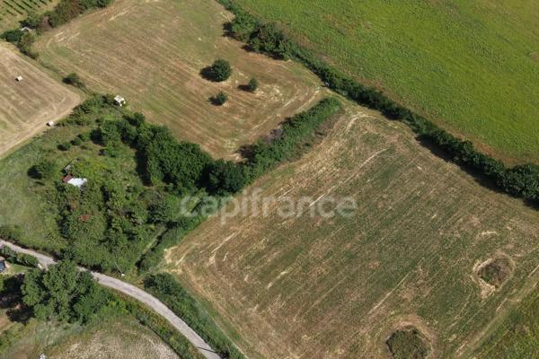 Parcelles agricoles 12 000 m² - JUNAS (GARD)