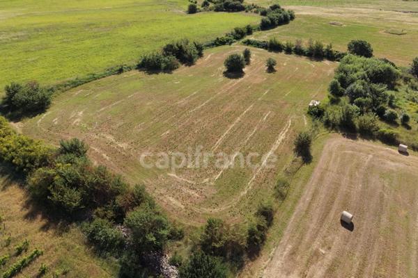 Parcelles agricoles 12 000 m² - JUNAS (GARD)