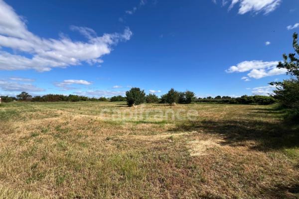Parcelles agricoles 12 000 m² - JUNAS (GARD)