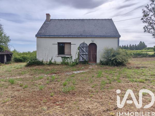 Maison à vendre 2 pièces 40,83 m² Mauges-sur-Loire