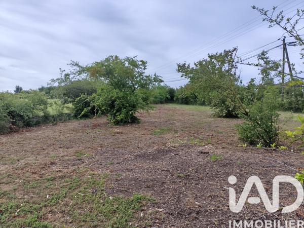 Maison à vendre 2 pièces 40,83 m² Mauges-sur-Loire