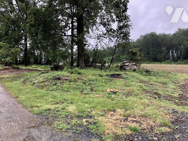 Secteur ARTHEZE : Fermette longère sur terrain 4512 m²