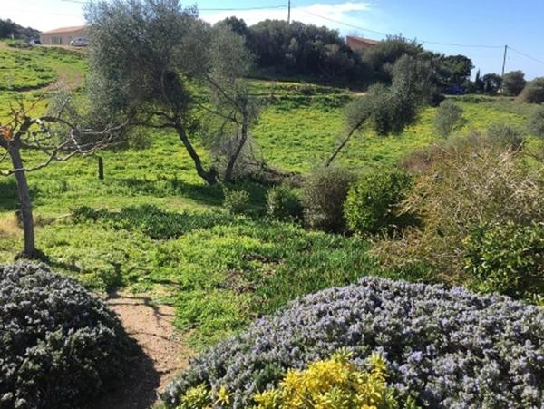 Très beau T2 dans résidence de tourisme à SERRA DI FERRO (2A)