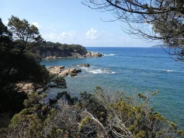 Très beau T2 dans résidence de tourisme à SERRA DI FERRO (2A)