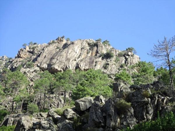 Très beau T2 dans résidence de tourisme à SERRA DI FERRO (2A)