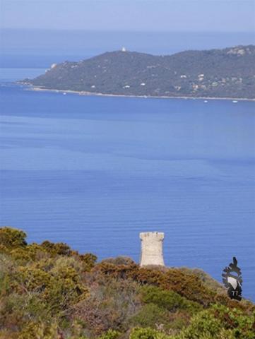 Très beau T2 dans résidence de tourisme à SERRA DI FERRO (2A)