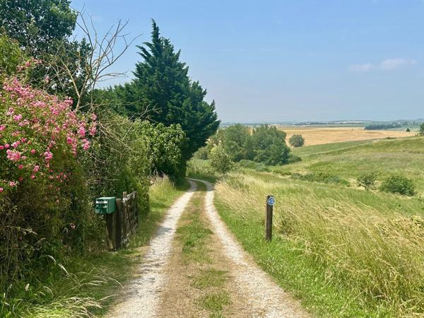 Nature, prestige et sérénité près de Mirepoix