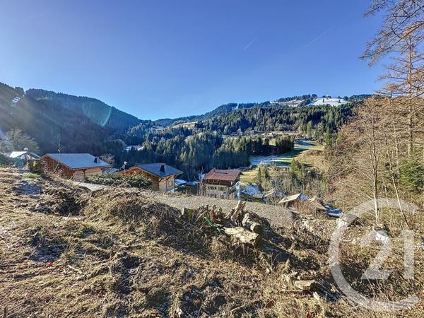 terrain à vendre  754 m2 MORZINE - 74