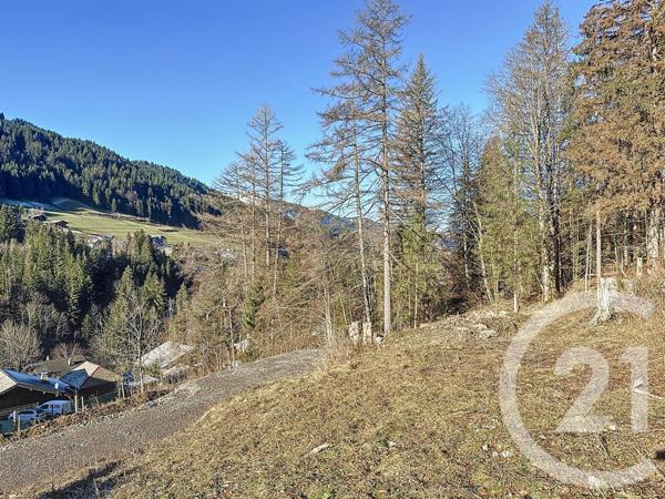 terrain à vendre  754 m2 MORZINE - 74