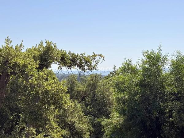 Vente                                                      Appartement
                        
                     2 pièces                      32 m2                     à Grimaud