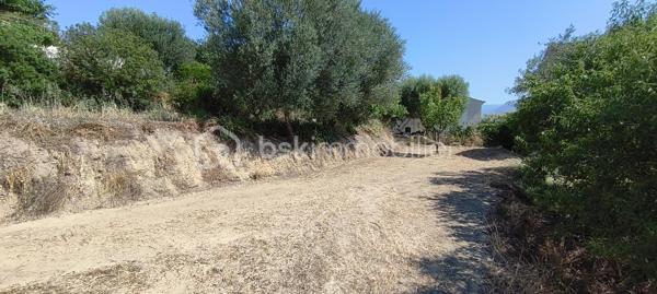 Au calme absolu, dans un secteur résidentiel recherché, venez découvrir ce magnifique terrain à bâtir de 530 m² en position dominante. Sa belle orientation et son environnement privilégié en font un emplacement idéal pour réaliser la maison de vos rêves.
Libre constructeur, il vous offre une totale liberté dans la conception de votre projet. Proche des commodités, des écoles et des accès principaux, ce terrain réunit tous les atouts pour une qualité de vie exceptionnelle.
Une opportunité rare sur le secteur !
