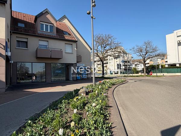 Local professionnel LINGOLSHEIM  - BONNE VISIBILITÉ et LOCALISATION IDÉALE