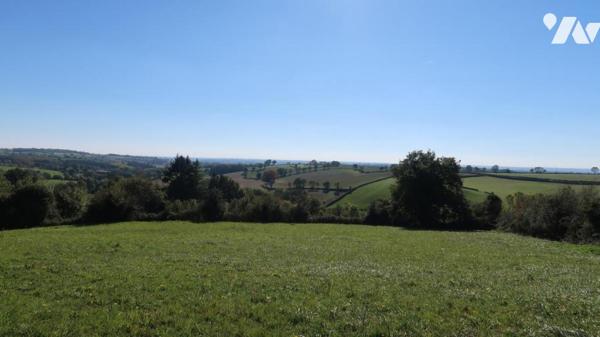TERVAL, SUR PLUS DE 3 HECTARES, MAISON DE CAMPAGNE COMPRENANT UN PLAN D'EAU, UN BOIS ET UNE PRAIRIE.