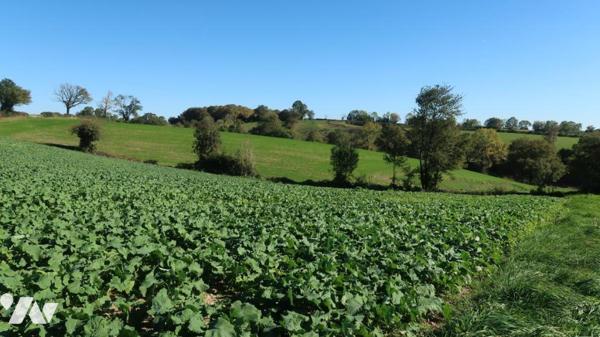 TERVAL, SUR PLUS DE 3 HECTARES, MAISON DE CAMPAGNE COMPRENANT UN PLAN D'EAU, UN BOIS ET UNE PRAIRIE.